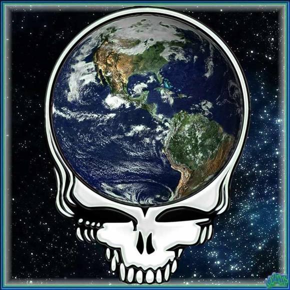 Meet your Posher, Jill - Picture 1 of 1